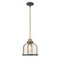 Z-Lite Burren 1 Light Pendant, Bronze + Brass And Clear Seedy 337P12BRZ+HB - alternate 2